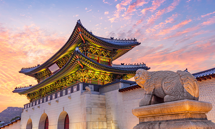 Medicare is our primary service! On top of that, we provide the best tour course for you to thoroughly experience and appreciate the culture of Korea.